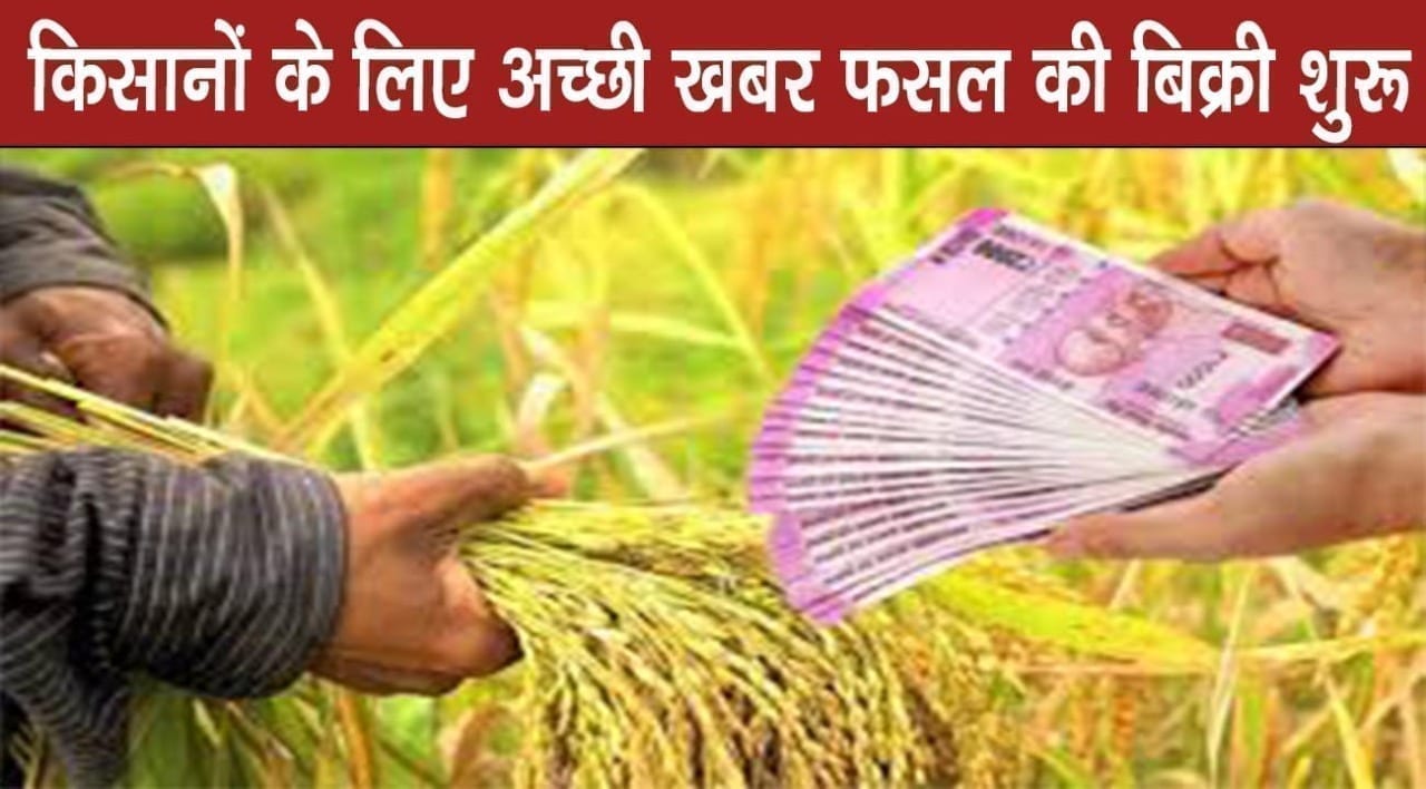 WhatsApp Image 2020-04-16 at 10.54.01 AM