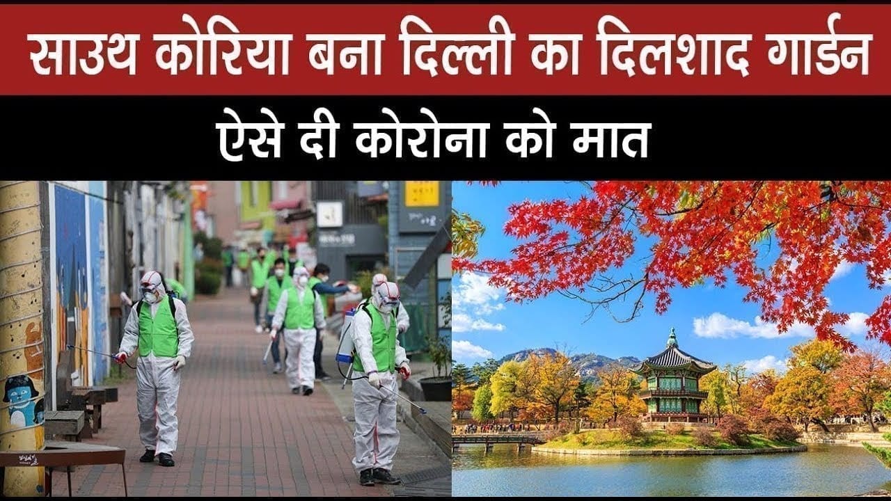 delhi के इस इलाके ने जीत ली महामारी से जंग. इस ऑपरेशन से हारी महामारी