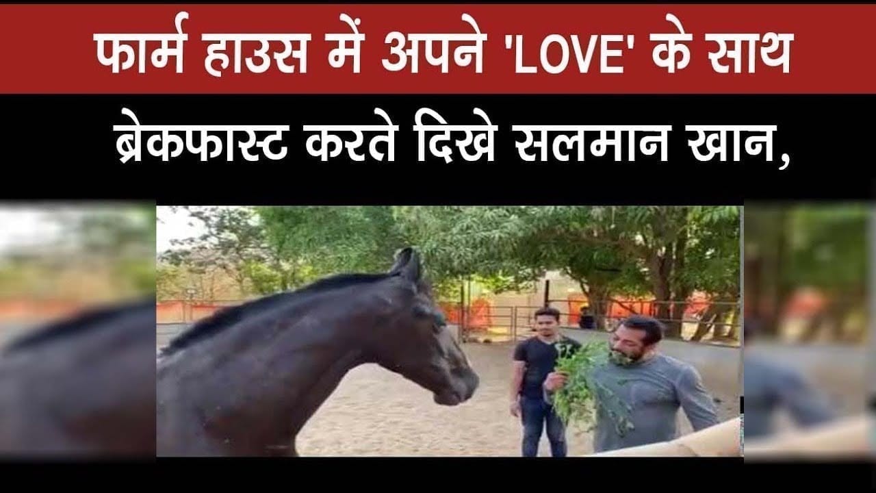 फार्म हाउस में अपने ‘LOVE’ के साथ ब्रेकफास्ट करते दिखे सलमान खान,