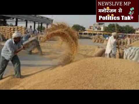 यूपी का गेहूं सागर में बिकने पहुंचा, 5 ट्रक जब्त