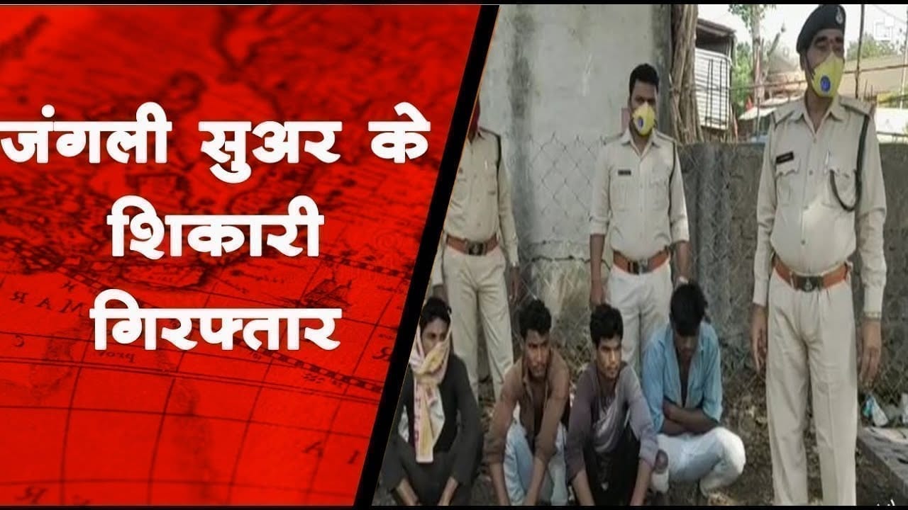 जंगली सूअर का शिकार करने वाले पांच शिकारी गिरफ्तार