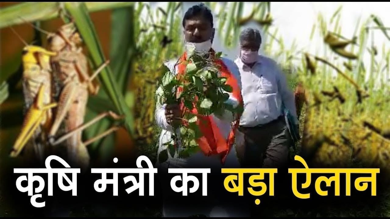 हरदा दौरे पर पहुंचे कृषि मंत्री Kamal patel, टिड्डी दल से प्रभावित किसानों के लिए की बड़ी घोषणा