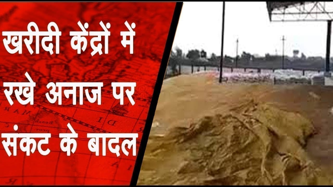 खुले में रखा सैकड़ों क्विंटल चना बारिश की भेंट चढ़ा