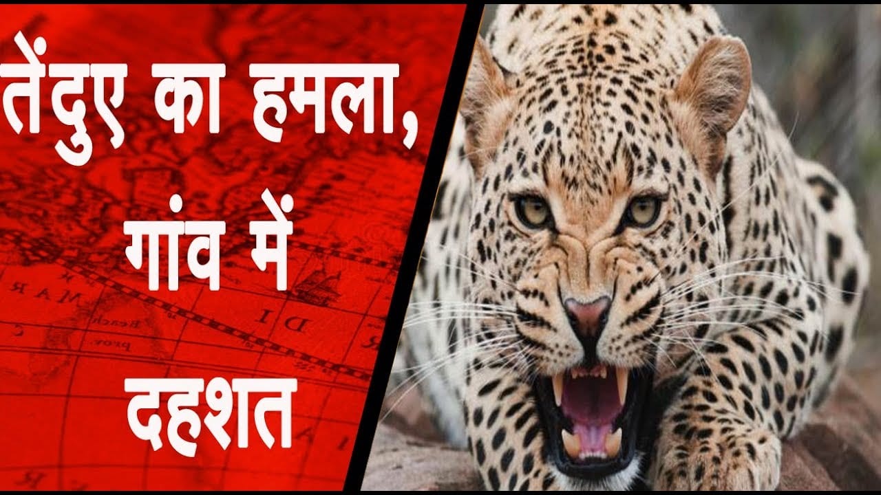 तेंदुए का हमला, गांव में दहशत