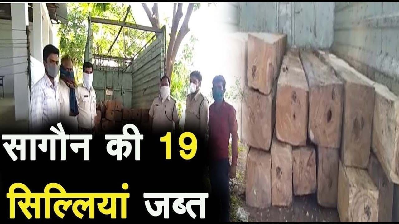 नसरूल्लागंज क्षेत्र में सागौन की 19 सिल्लियों के साथ एक पिकअप वाहन जब्त