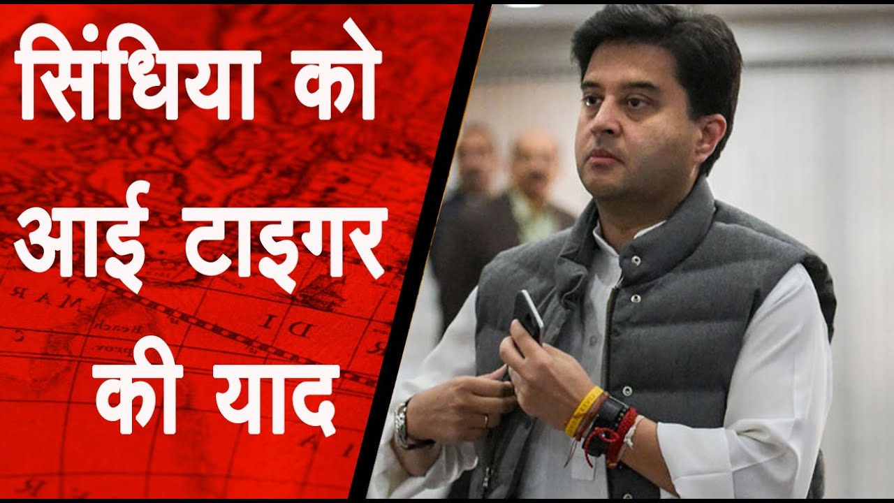 Shivraj के लिए Scindia ने कहा फिल्मी डायलोग, प्रदेश की सियासत में Tiger की वापसी